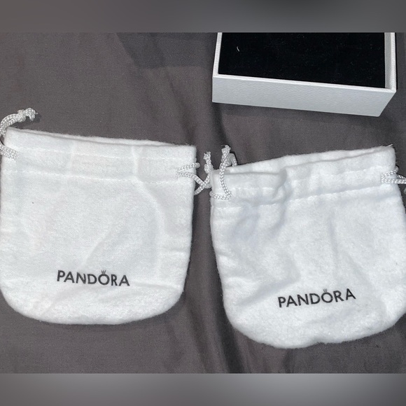 Pandora Bracelet Boxes & Dust Bags - Picture 3 of 7